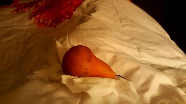 pear-still-life